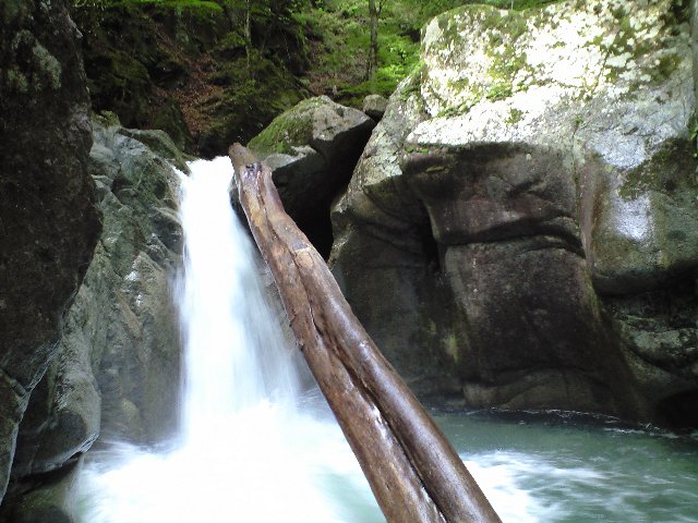 Ｆ１：倒木のかかった滝