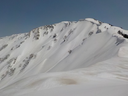 猫又山山頂から