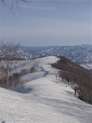 辿ってきた雪の尾根